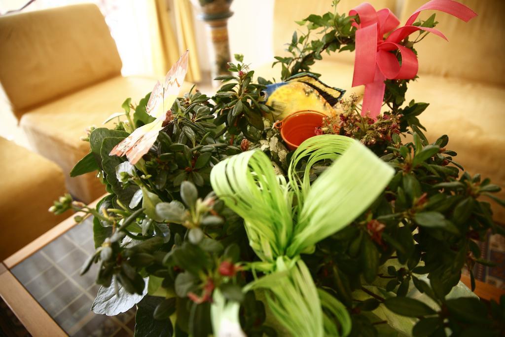 Hotel Devon Rooms & Breakfast تْشيزيناتيكو المظهر الخارجي الصورة